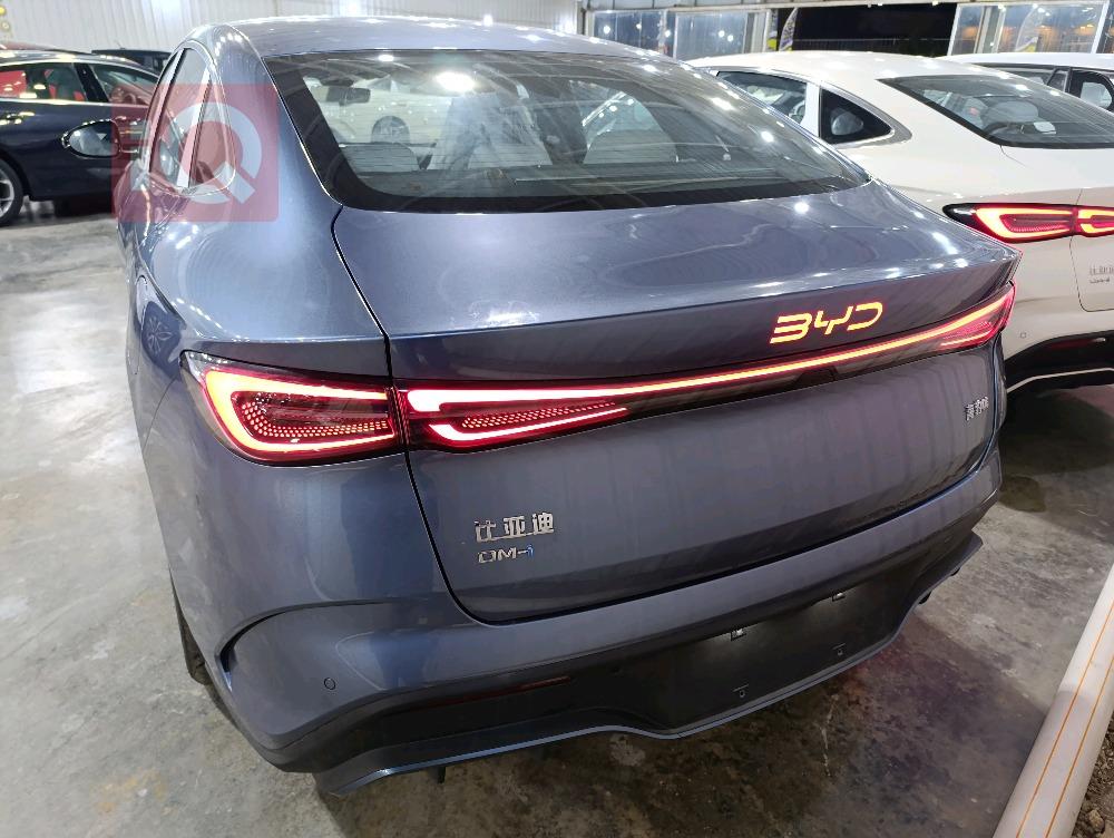 بي واي دي سيل 06 DM-i